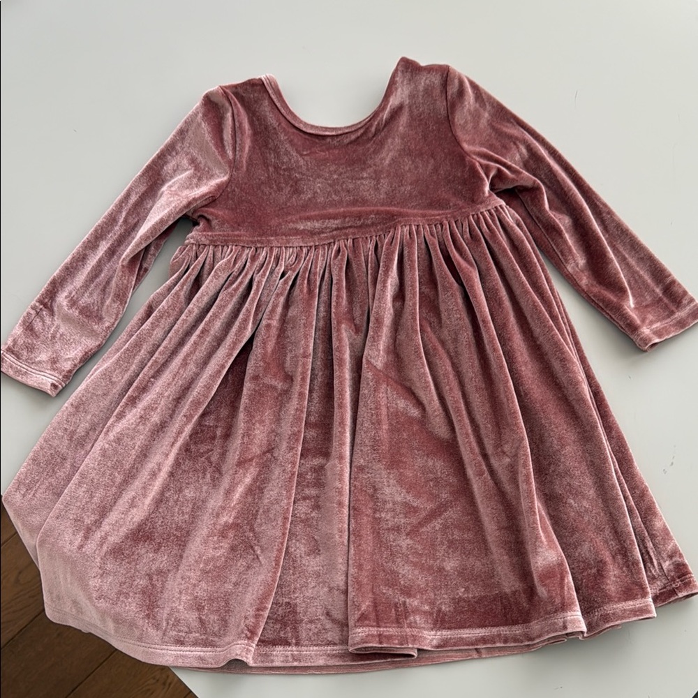 Pink Chicken Velour dress 2T